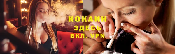 индика Армянск