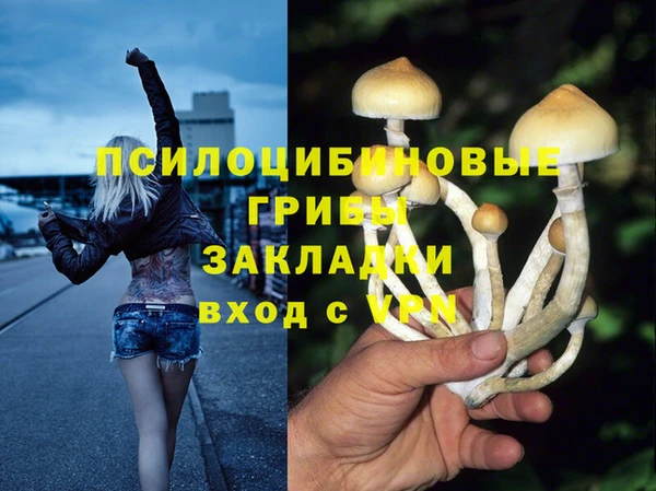 индика Армянск