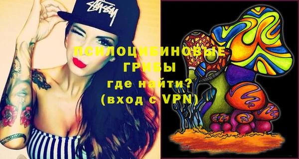 индика Армянск