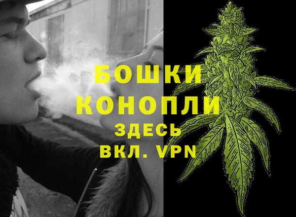 индика Армянск