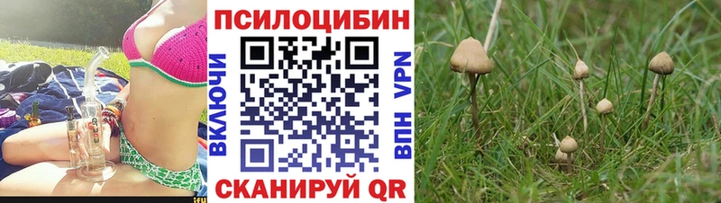 Галлюциногенные грибы MAGIC MUSHROOMS Уржум